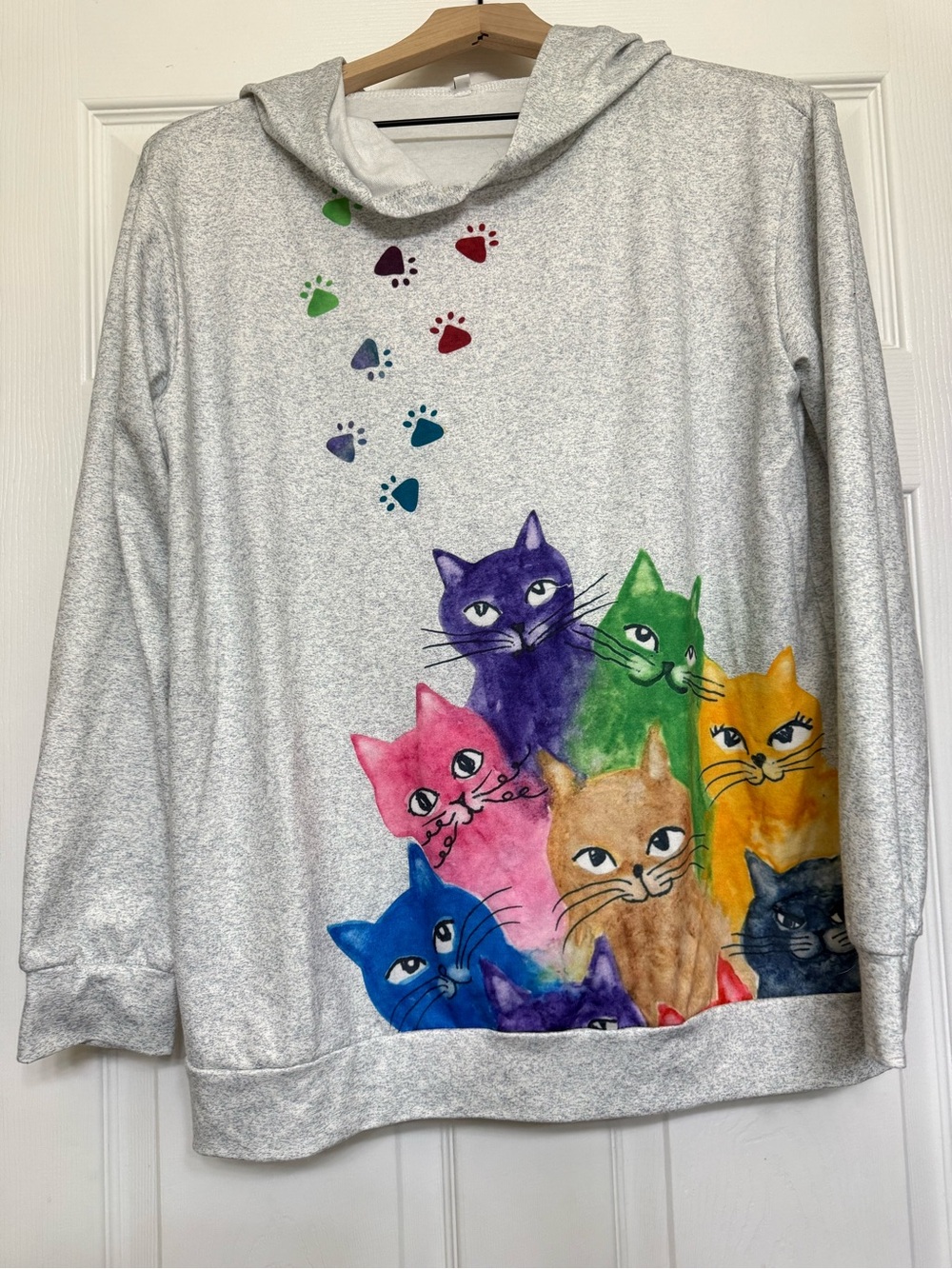 Colorful Cats Hooded Pullover Sweatshirt - Multi